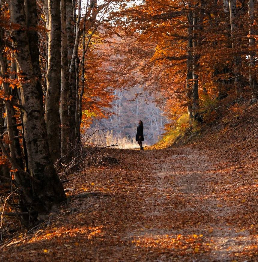 Una mujer de pie en un sendero de bosque en otoño, entre árboles de hojas cobrizas, mirando hacia la luz.